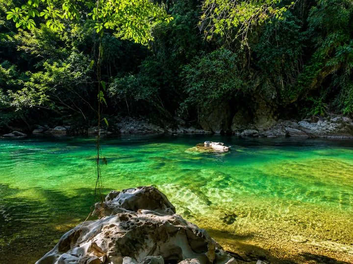 Aguas transparentes del Río Claro corriendo entre rocas y vegetación.